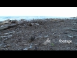 Beach Kairakau Storm Debris 3 2862